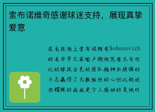 索布诺维奇感谢球迷支持，展现真挚爱意